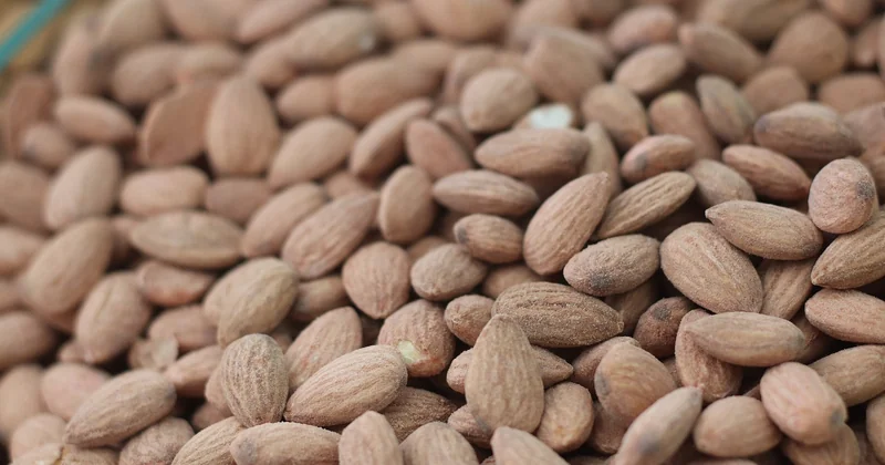 Trois familles de snacks et leurs usages concrets